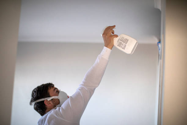 Best Mold Removal Process  in Cole Camp, MO
